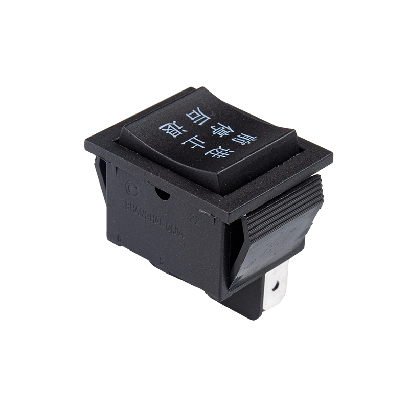 Interruptor oscilante R11-213