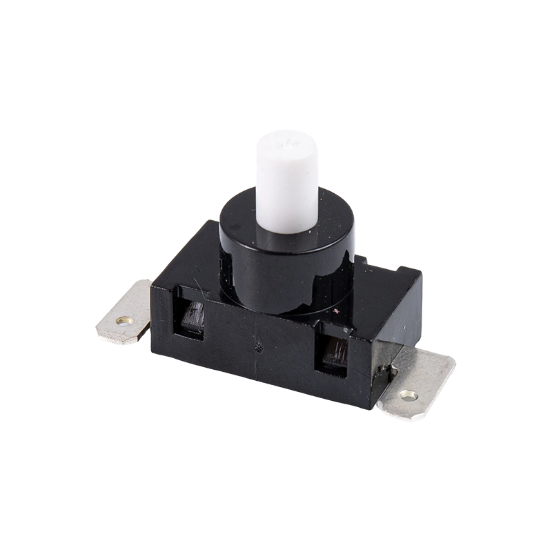 Interruptor de botão P12-3B